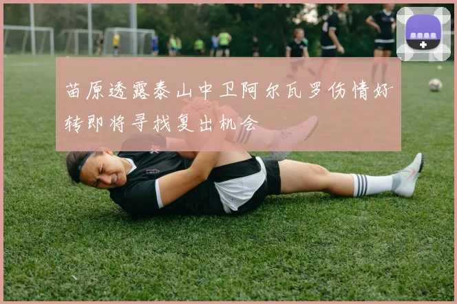 苗原透露泰山中卫阿尔瓦罗伤情好转即将寻找复出机会
