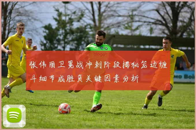 张伟丽卫冕战冲刺阶段揭秘笼边缠斗细节成胜负关键因素分析