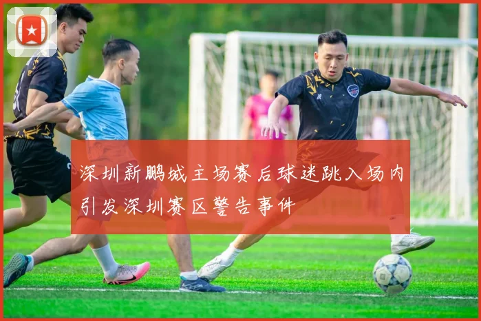 深圳新鹏城主场赛后球迷跳入场内引发深圳赛区警告事件
